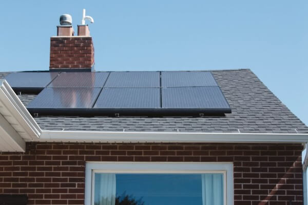 PEST CONTROL ABBOTS LANGLEY, Hertfordshire. Services: Solar Panel Bird Proofing. Keep Your Solar Panels Safe from Bird Interference with Our Expert Bird Proofing Solutions